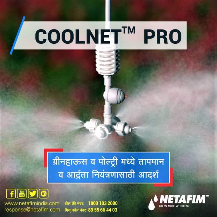 Drip-Irrigation