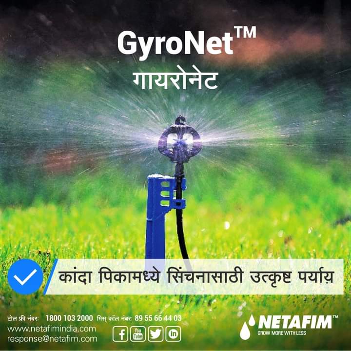 Drip-Irrigation
