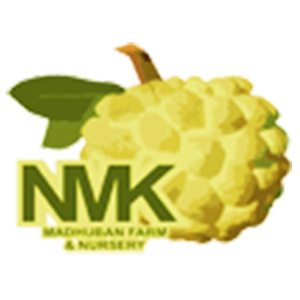 Logo 3