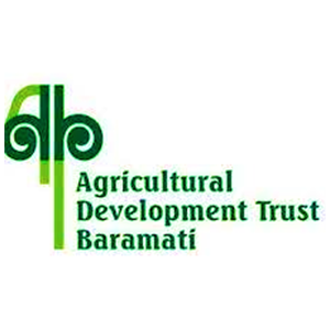 Logo 8