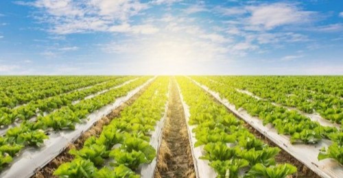 Natural Resource Management